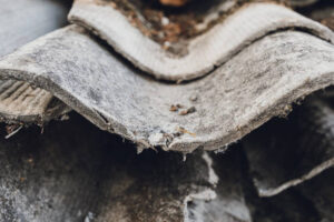 Where can I find Asbestos Management in Kent?