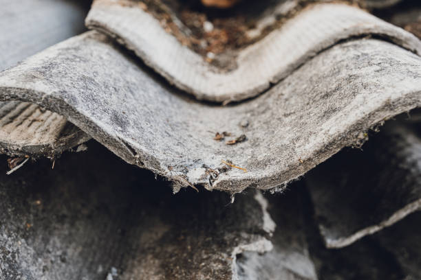Where can I find Asbestos Management in Kent?
