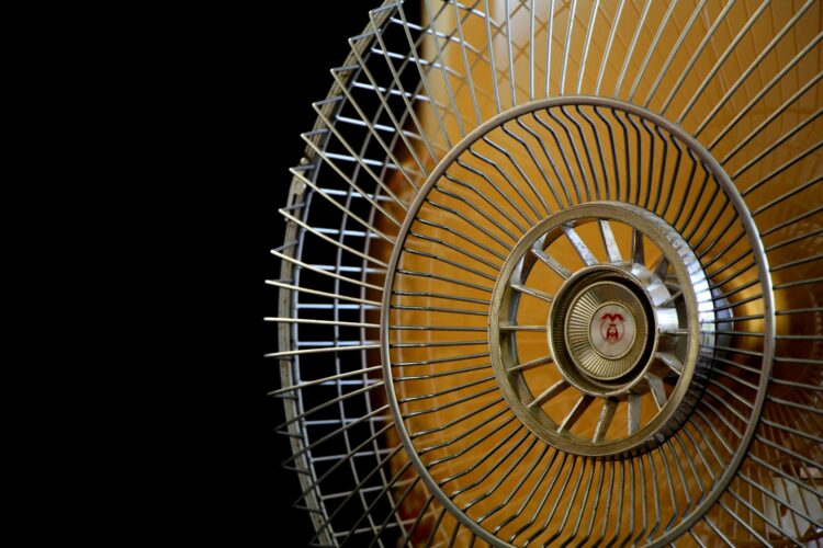 How to Stay Safe in the Heat at Work: A Practical Guide for Hot Days